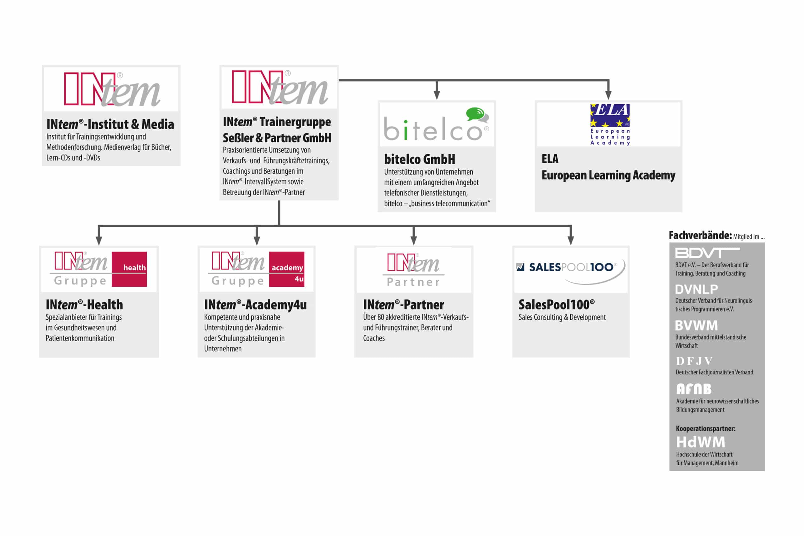 Organigramm_INtem_2024_web